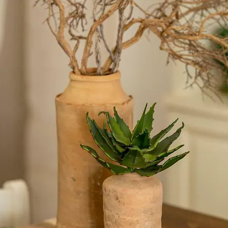 Alesia Luxury Apartament Ostuni