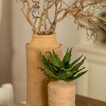 Alesia Luxury Διαμέρισμα Ostuni